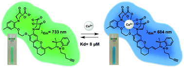 Graphical abstract: Ca-NIR: a ratiometric near-infrared calcium probe based on a dihydroxanthene-hemicyanine fluorophore
