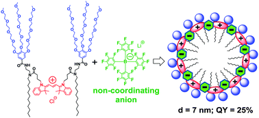 Graphical abstract: Non-coordinating anions assemble cyanine amphiphiles into ultra-small fluorescent nanoparticles