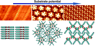 Graphical abstract: 2D analogues of the inverted hexagonal phase self-assembled from 4,6-dialkoxylated isophthalic acids at solid–liquid interfaces