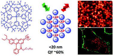 Graphical abstract: Fluorinated counterion-enhanced emission of rhodamine aggregates: ultrabright nanoparticles for bioimaging and light-harvesting