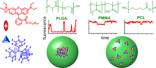 A., K. Trofymchuk , A. Runser, G. Fleith, M. Rawiso and  A. S. Klymchenko, Tailoring Fluorescence Brightness and Switching of Nanoparticles through Dye Organization in the Polymer Matrix. ACS Appl Mater Interfaces