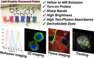 Collot, M., T.K. Fam, P. Ashokkumar, O. Faklaris, T. Galli, L. Danglot and A.S. Klymchenko, Ultrabright and Fluorogenic Probes for Multicolor Imaging and Tracking of Lipid Droplets in Cells and Tissues, Journal of the American Chemical Society,