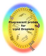 Fam, T.K., A.S. Klymchenko and M. Collot, Recent Advances in Fluorescent Probes for Lipid Droplets,Materials