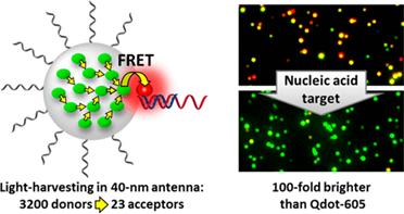 Melnychuk, N., and A.S. Klymchenko, DNA-Functionalized Dye-Loaded Polymeric Nanoparticles: Ultrabright FRET Platform for Amplified Detection of Nucleic Acids, J Am Chem Soc