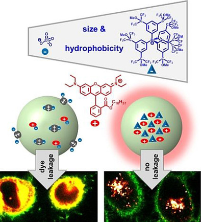 Fighting Aggregation Caused Quenching and Leakage of Dyes in Fluorescent Polymer Nanoparticles: Universal Role of Counterion