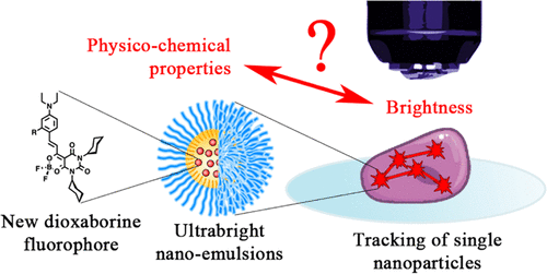 Optimizing the Fluorescence Properties of Nanoemulsions for Single Particle Tracking in Live Cells
