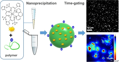 M. C. Dos Santos et al. Lanthanide-Complex-Loaded Polymer Nanoparticles for Background-Free Single-Particle and Live-Cell Imaging, Chemistry of Materials, 2019.