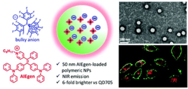 Adarsh, N., A. S. Klymchenko, Ionic aggregation-induced emission dye with bulky counterions for preparation of bright near-infrared polymeric nanoparticles, Nanoscale, 2019