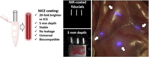 K. Near-infrared fluorescent coatings of medical devices for image-guided surgery