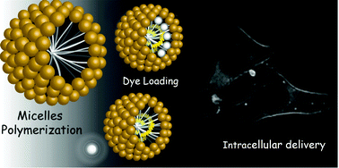 Graphical abstract: Photopolymerized micelles of diacetylene amphiphile: physical characterization and cell delivery properties