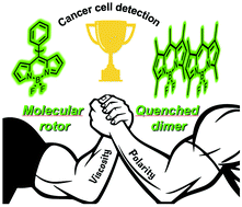 K. Confronting molecular rotors and self-quenched dimers as fluorogenic BODIPY systems to probe biotin receptors in cancer cells
