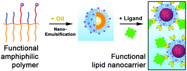K. Tunable functionalization of nano-emulsions using amphiphilic polymers