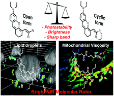 K. Near infrared emitting molecular rotor based on merocyanine for probing the viscosity of cellular lipid environments