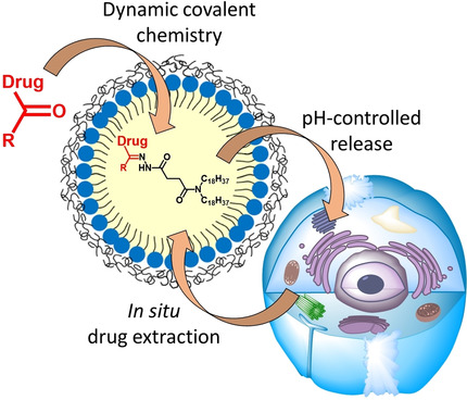 K. Drug-Sponge Lipid Nanocarrier for in Situ Cargo Loading and Release Using Dynamic Covalent Chemistry